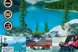 ���ô������������ɽ��12����