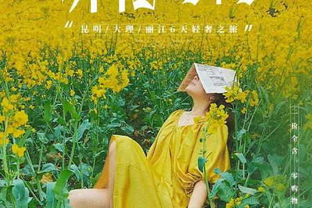 ��������ʯ�֡���������������ѩɽ������1+1��˫�ɵ���������